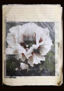 Inspiration book of Floran Polano